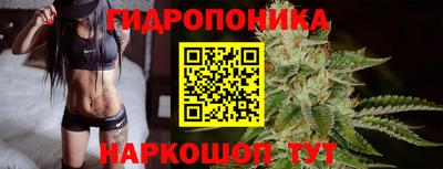 СК Обнинск