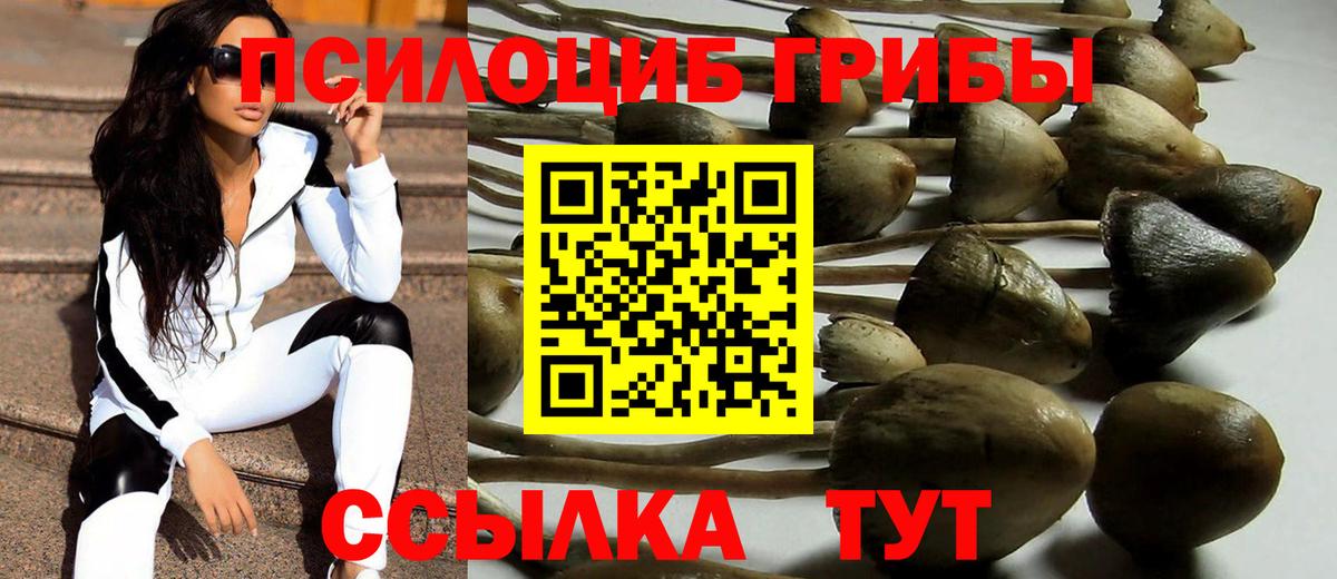 Псилоцибиновые грибы мухоморы Тавда