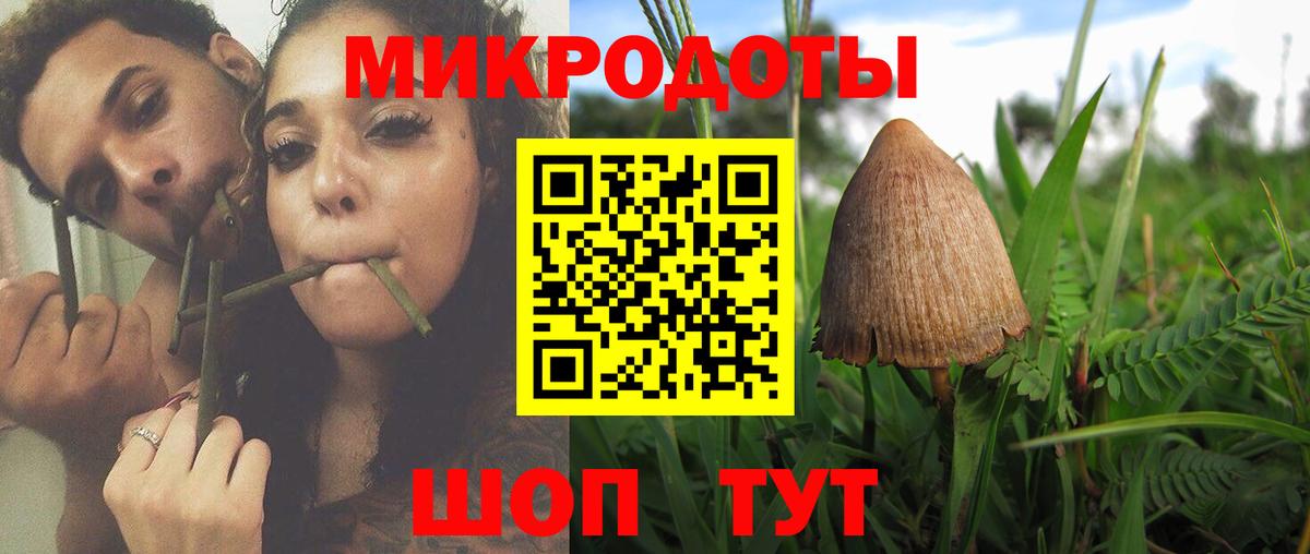 Псилоцибиновые грибы MAGIC MUSHROOMS  Вход с VPN  дарнет шоп  Тавда 